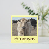 それは集合です! 牛ドライブお祝い 招待状 (スタンド正面)