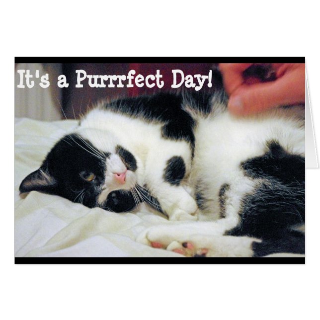 それはPurrfect日カードです (正面横)