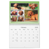 それはVizslaです! カレンダー (2月 2026)