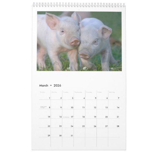 それらのコブタ- 2017匹の動物の壁掛けカレンダー カレンダー (3月 2026)