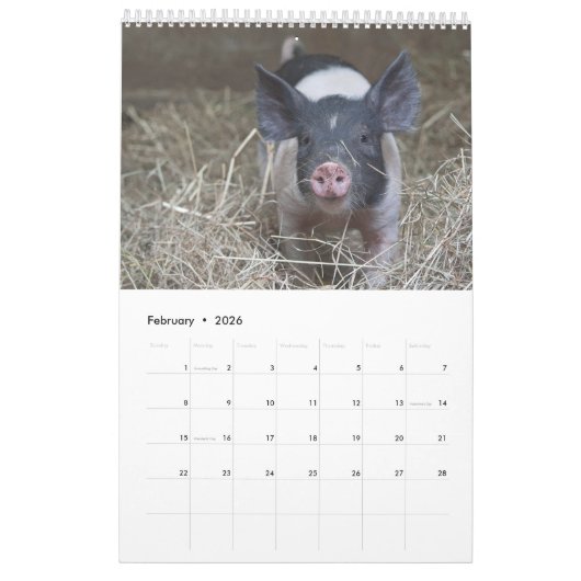 それらのコブタ- 2017匹の動物の壁掛けカレンダー カレンダー (2月 2026)