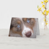 それらの目 カード (黄色い花)