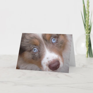 それらの目 カード