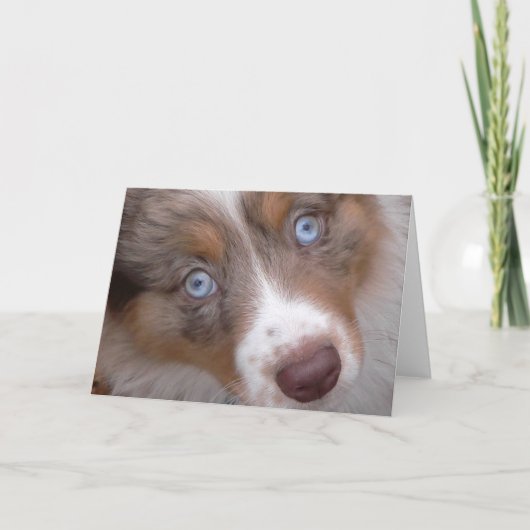 それらの目 カード (正面)