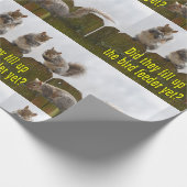 それらは鳥の送り装置をまだいっぱいにしましたか。 リス ラッピングペーパー (角)