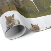 それらは鳥の送り装置をまだいっぱいにしましたか。 リス ラッピングペーパー (ロールコーナー)