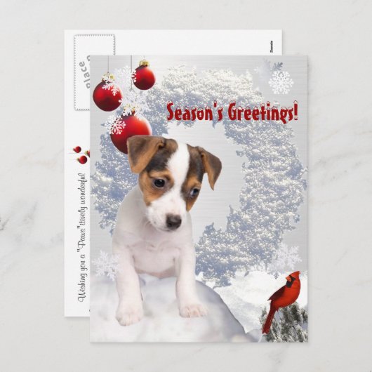 それをカスタマイズ!  ジャックラッセルテリアのクリスマスの願い シーズンポストカード (正面/裏面)