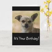 それをチワワのバースデー・カードにやにや笑い、耐えて下さい カード (黄色い花)