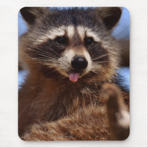 それを付けているおもしろいなアライグマは舌です マウスパッド