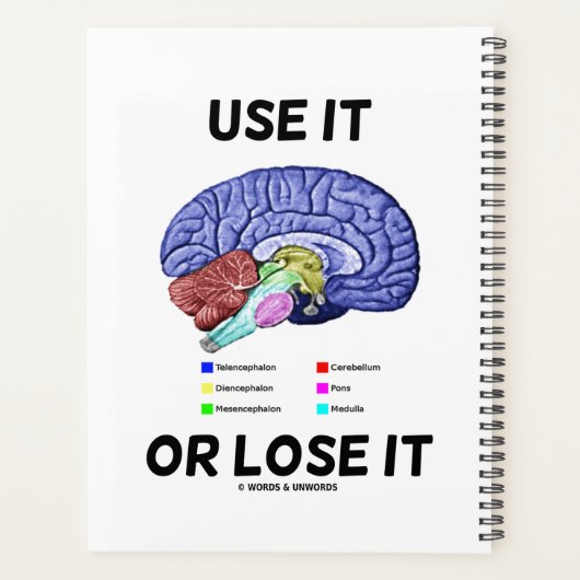 それを使うか、または解剖学的な脳アドバイスユーモアを失う プランナー手帳 (裏面)