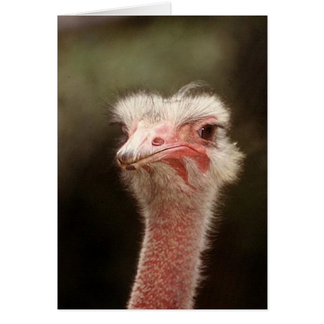 それを再度言って下さいか。 (正面)