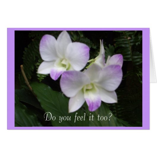 それを感じますもか。 カード (正面横)