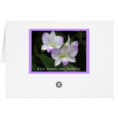 それを感じますもか。 カード (裏面横)