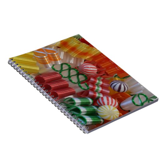 それを点検するリストを作って二度日誌に記して下さい ノートブック (右側)