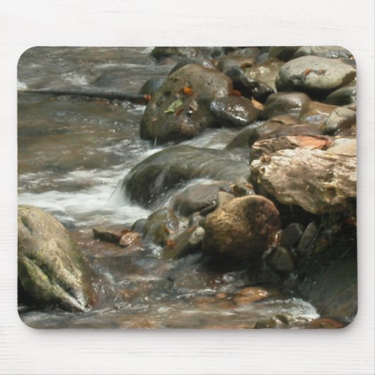 それを聞くことができますか。 マウスパッド (正面)