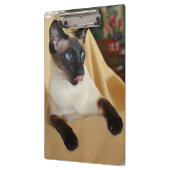 それを舐めているこっけいなシールポイントシャム猫は鼻です クリップボード (左)