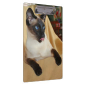 それを舐めているこっけいなシールポイントシャム猫は鼻です クリップボード (右)