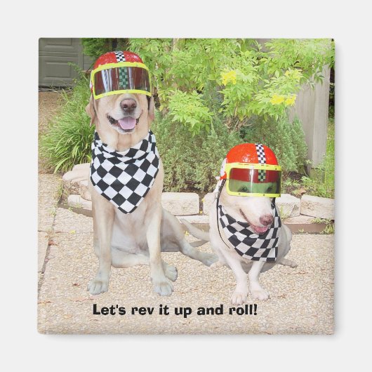 それを起こそう転がだ! マグネット (正面)