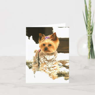 それメッセージカード割り当てられる雪が降るため シーズンカード