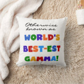 それ以外の場合最高のは最も詳しいガンマギフト クッション (ブランケット)