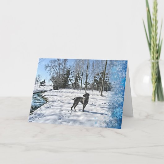 それ割り当てられる雪が降るために、それが雪が降るようにして下さいそれが雪が降るようにして下さい シーズンカード (正面)