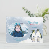 それ割り当てられる雪が降るため! ペンギン家族の休日の写真 シーズンカード (スタンド正面)