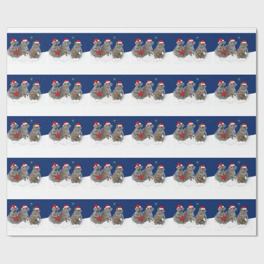 それ包装紙割り当てられるクリスマスの雪が降るため ラッピングペーパー (フラット)