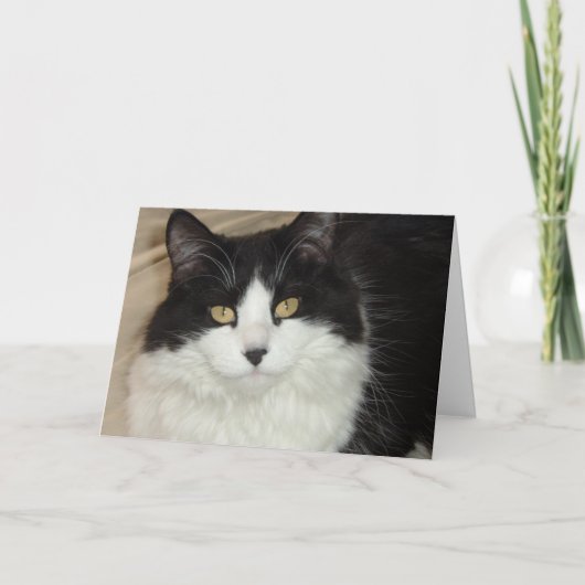 そろそろご自宅とバレンタ得インのユーモア シーズンカード (正面)