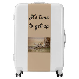 そろそろ文字でライオンの写真を撮る時間だ