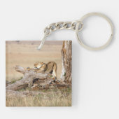 そろそろ文字でライオンの写真を撮る時間だ キーホルダー (裏面)