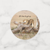 そろそろ文字でライオンの写真を撮る時間だ コンフェッティ (スモール正面)