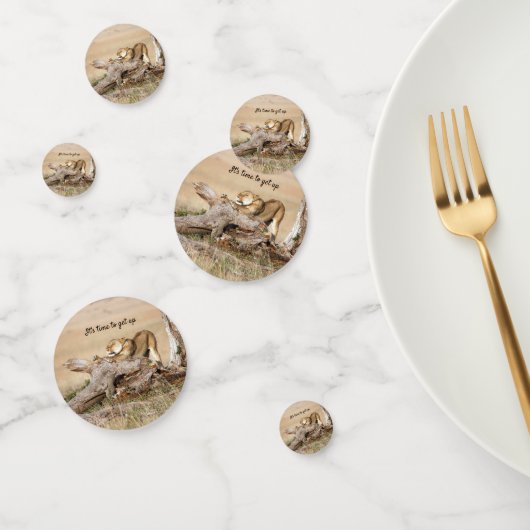 そろそろ文字でライオンの写真を撮る時間だ コンフェッティ (グループ)