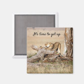 そろそろ文字でライオンの写真を撮る時間だ マグネット (正面/裏面)