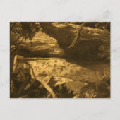 そんなに呪われし 月光ガーディアンズ オブ ザ ナイト ポストカード (正面)