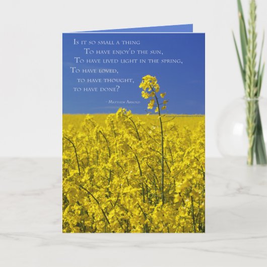 そんなに小さいこと？ カード (正面)