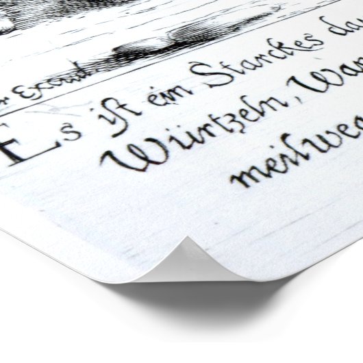 そんな服装で入島人は来た ポスター (角)