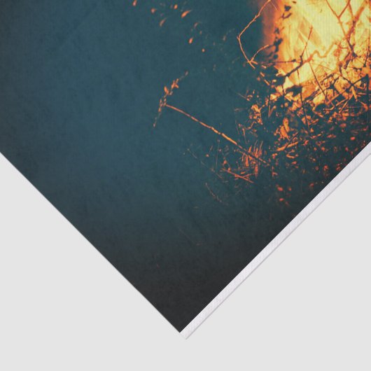 たき火 薄葉紙 (詳細)