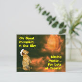 たくかわいらしさんのおやつに座る ポストカード (スタンド正面)