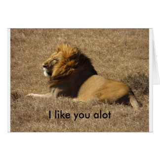 たくさんあなたのように