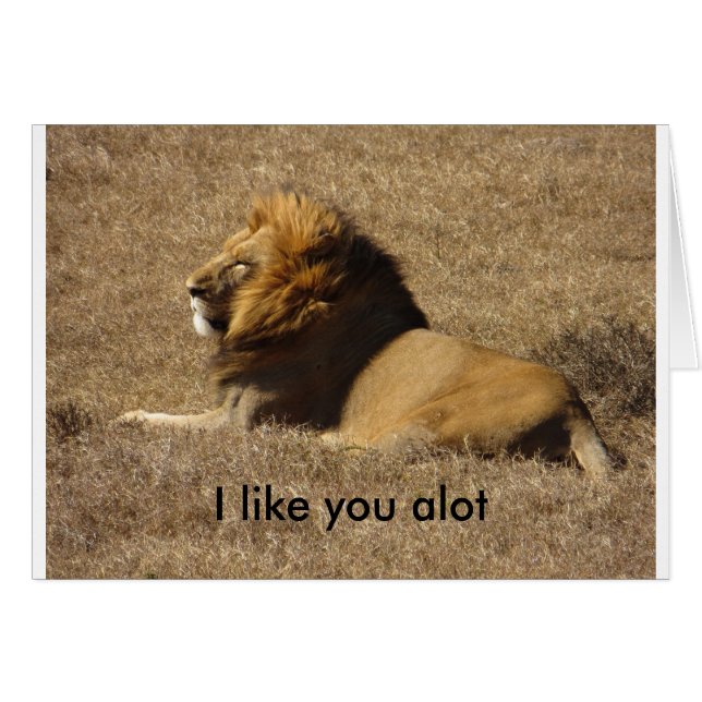 たくさんあなたのように (正面横)