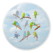 たくさんのカラフルインコ – かわいい小鳥 セラミックノブ (正面)