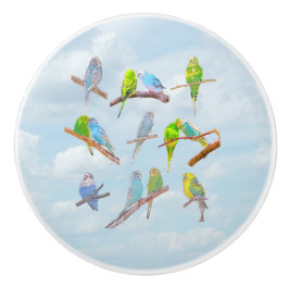 たくさんのカラフルインコ – かわいい小鳥 セラミックノブ