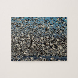 たくさんのハクガン ジグソーパズル