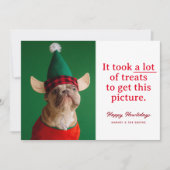 たくさんのハッピーハウリデイズペットおもしろい シーズンカード (正面)