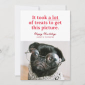 たくさんのハッピーハウリデイズペットおもしろい シーズンカード (正面)