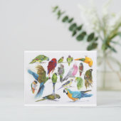 たくさんのプレゼントに沢山のパロット ポストカード (スタンド正面)