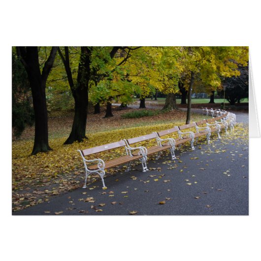 たくさんのベンチ (正面横)