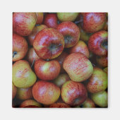 たくさんのリンゴ磁石 マグネット (正面)