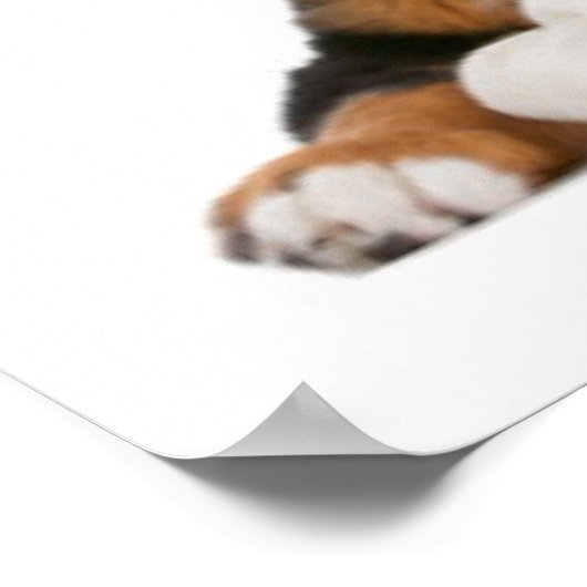 たくさんの子犬 ポスター (角)