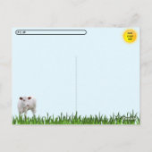 たくさんの牛と数頭の小さな雄牛 Postcrossing ポストカード (裏面)